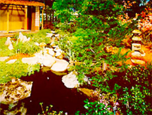 Japanese Tea Garden